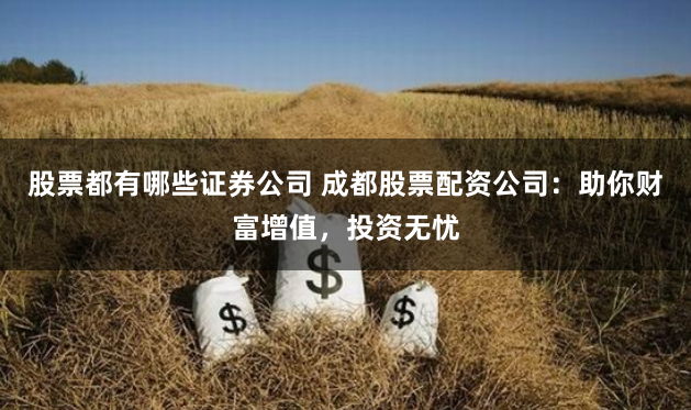 股票都有哪些证券公司 成都股票配资公司：助你财富增值，投资无忧