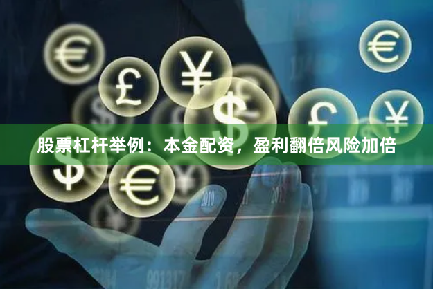 股票杠杆举例：本金配资，盈利翻倍风险加倍