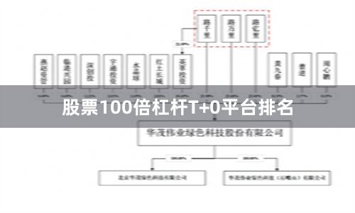 股票100倍杠杆T+0平台排名